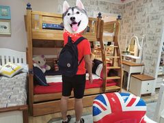 -金海马家居(海珠店)