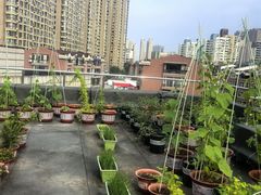 -东港音乐喷泉广场