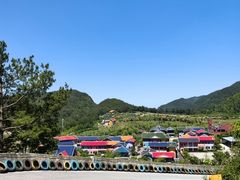 -龙里油画大草原旅游区