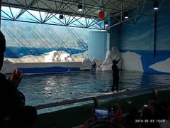 -秦皇岛乐岛海洋王国