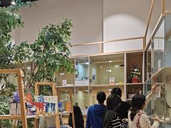 -屋虎猫馆(宝安大仟里店)