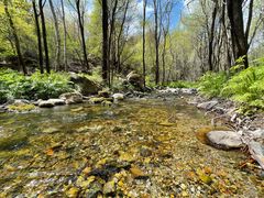 -玉渡山自然风景区