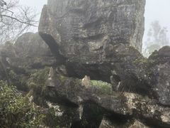 -山王坪喀斯特国家生态公园