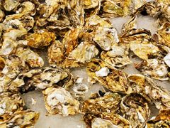 -圣罗巴海鲜自助(黑金店)