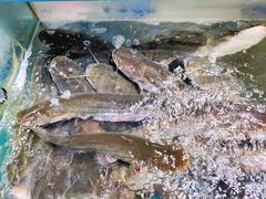 -新珠城鱼坊(龙湖店)