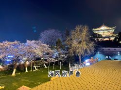 -晴川假日酒店·宴会厅·会议厅