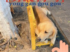 -八木轩·寻味大理白族民俗餐厅(文献路店)