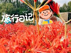 -西安浐灞国家湿地公园