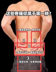 点击看大图 -玛莲朵·海菲秀冰珀科