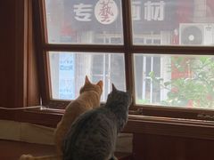 -树洞咖啡(科大店)