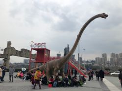 -恐龙探索乐园(磁器口店)