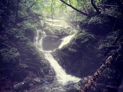 -本溪汤沟绿石谷森林公园