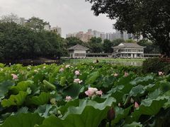 -荔湾湖公园