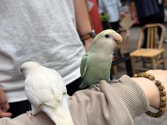 -悟饮门市景店