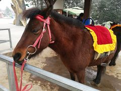 -西安秦岭野生动物园