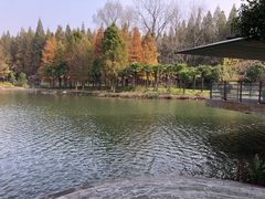 -上海怡沁园度假酒店