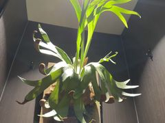 -木屋烧烤(龙岗南联店)