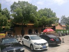 -亭林园-华藏寺