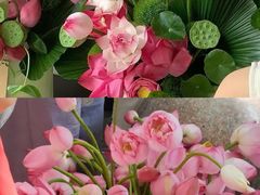 -溪岸路花鸟市场