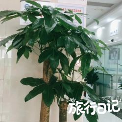 点击看大图 -痘博士广州·全国连锁祛痘机构