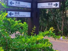 -海南霸王岭国家森林公园