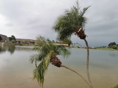 -月亮湾湿地公园