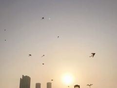 -渡海小渔村.老辈日照菜