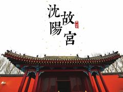 人太多，只能拍屋顶-沈阳故宫