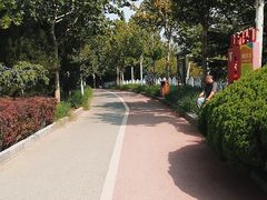 -滨河世纪广场公园