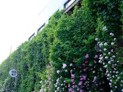 -元大都城垣遗址公园