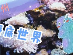 -杭州海底世界