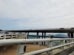 -演武大桥观景平台