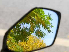 -大连市甘井子区体育场