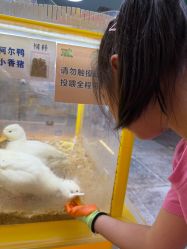-神奇动物撸宠馆·羊驼·小浣熊·异宠(豫园店)