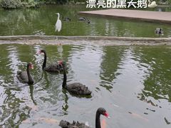 -海南热带野生动植物园