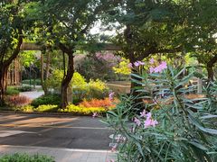 -星巴克(深圳侨城街店)