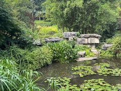 -龙头寺公园