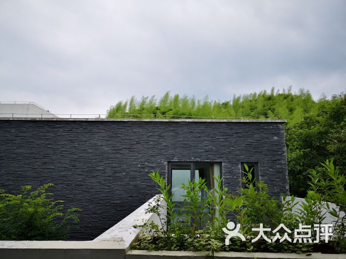 大乐之野(安吉店)图片 - 第9张