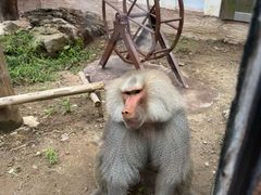 -呀诺达热带雨林