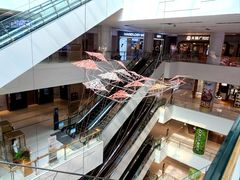 -岭南站NOVA