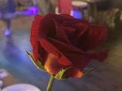 -樱花里音乐餐吧·牛扒椰子鸡(东圃店)