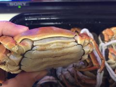 -黄记大闸蟹专卖店·活蟹·醉蟹
