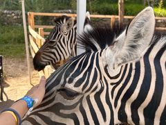 -水上乐园·欢乐世界