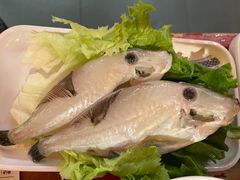 -小龙坎火锅(全球旗舰店)