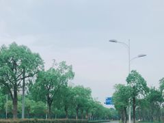 -上海月湖雕塑公园
