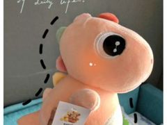 -常州环球恐龙城维景国际大酒店