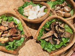 -滇野云南野生菌餐厅(陕西南路店)