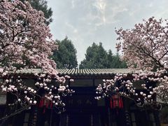 -成都武侯祠博物馆