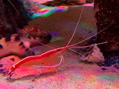 -沈阳海洋探索中心