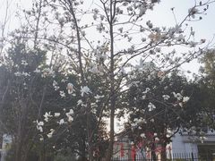 -沐仙湖湿地公园